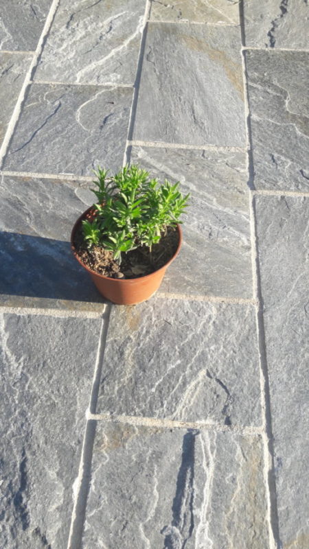 Kvarcit Blue Ocean - dlazba